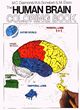HUMAN BRAIN COLORING BOOK